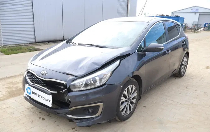 kia świętokrzyskie Kia Ceed cena 23900 przebieg: 175529, rok produkcji 2017 z Dziwnów